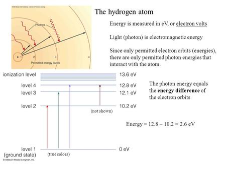 The hydrogen atom Energy is measured in eV, or electron volts Light (photon) is electromagnetic energy Since only permitted electron orbits (energies),