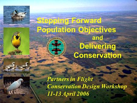Stepping Forward Population Objectives Partners in Flight Conservation Design Workshop 11-13 April 2006 and Delivering Conservation.