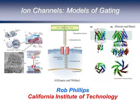 Ion Channels: Models of Gating Rob Phillips California Institute of Technology (Perozo and Rees) (Gillespie and Walker)