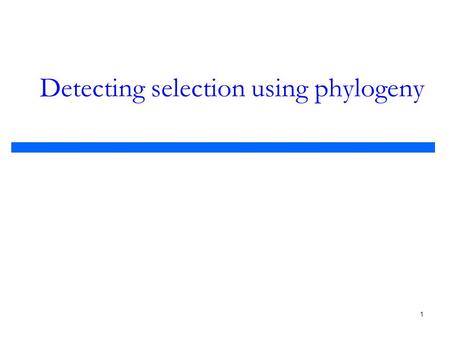 1 Detecting selection using phylogeny. 2 Evaluation of prediction methods  Comparing our results to experimentally verified sites Positive (hit)Negative.