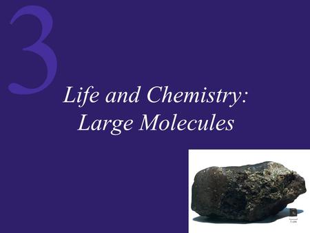 3 Life and Chemistry: Large Molecules. 3 Macromolecules: Giant Polymers There are four major types of biological macromolecules:  Proteins  Carbohydrates.