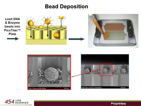 Proprietary Bead Deposition Load DNA & Enzyme beads into PicoTiter™ Plate.