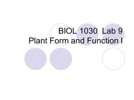 BIOL 1030 Lab 9 Plant Form and Function I