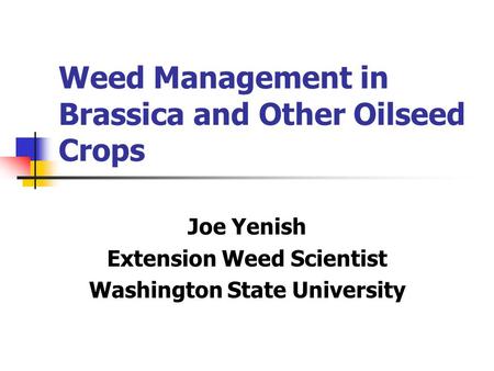 Weed Management in Brassica and Other Oilseed Crops Joe Yenish Extension Weed Scientist Washington State University.