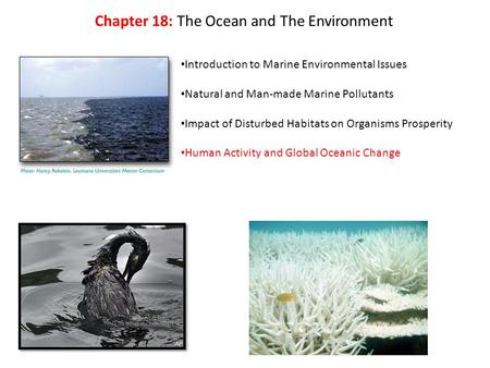 Introduction to Marine Environmental Issues Natural and Man-made Marine Pollutants Impact of Disturbed Habitats on Organisms Prosperity Human Activity.