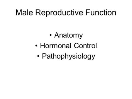 Male Reproductive Function Anatomy Hormonal Control Pathophysiology.