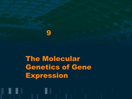 The Molecular Genetics of Gene Expression