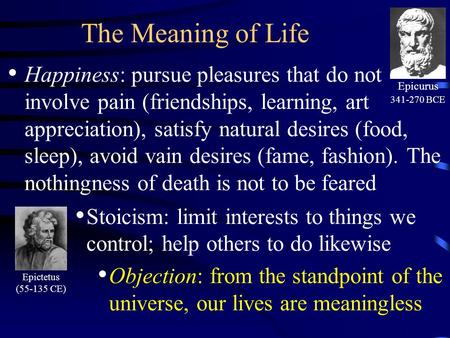 The Meaning of Life Happiness: pursue pleasures that do not involve pain (friendships, learning, art appreciation), satisfy natural desires (food, sleep),