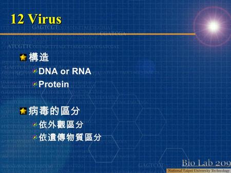 12 Virus 構造 DNA or RNA Protein 病毒的區分 依外觀區分 依遺傳物質區分.
