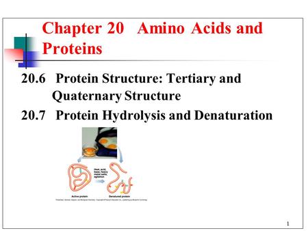 1 20.6 Protein Structure: Tertiary and Quaternary Structure 20.7 Protein Hydrolysis and Denaturation Chapter 20 Amino Acids and Proteins.