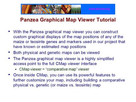 Www.panzea.org Panzea Graphical Map Viewer Tutorial With the Panzea graphical map viewer you can construct custom graphical displays of the map positions.