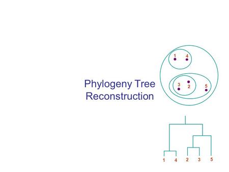 Phylogeny Tree Reconstruction 1 4 3 2 5 1 4 2 3 5.