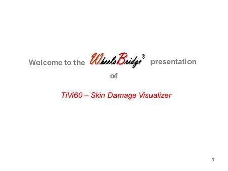 1 TiVi60 – Skin Damage Visualizer Welcome to the presentation of.