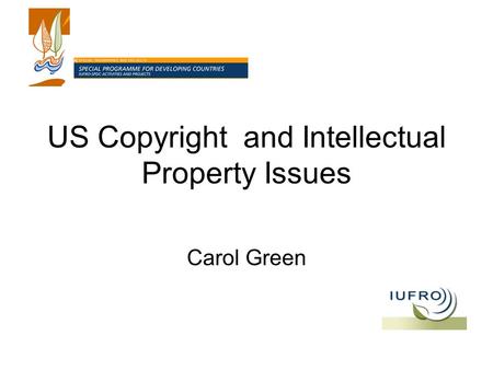 US Copyright and Intellectual Property Issues Carol Green.