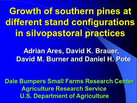 Growth of southern pines at different stand configurations in silvopastoral practices Adrian Ares, David K. Brauer, Adrian Ares, David K. Brauer, David.