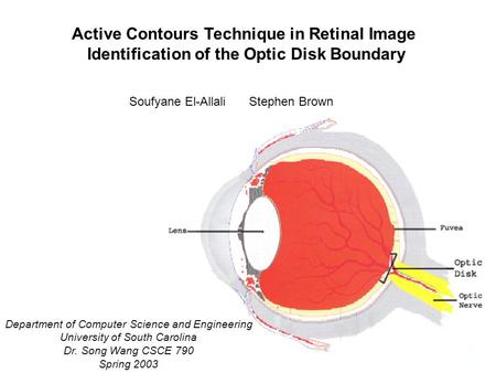 Active Contours Technique in Retinal Image Identification of the Optic Disk Boundary Soufyane El-Allali Stephen Brown Department of Computer Science and.