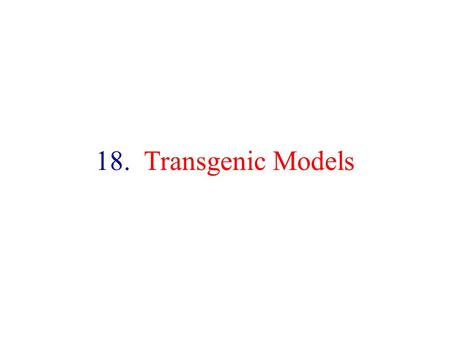 18. Transgenic Models. Approaches Used in the Analysis of Mammalian Development Observations during embryogenesis Phenotypic analysis of developmental.