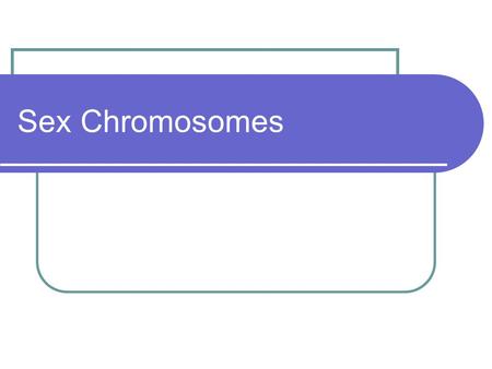 Sex Chromosomes.