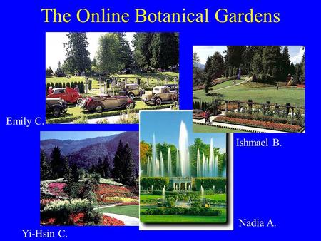 Nadia A. Yi-Hsin C. Emily C. Ishmael B. The Online Botanical Gardens.