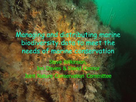 Managing and distributing marine biodiversity data to meet the needs of marine conservation Steve Wilkinson, Jon Davies & David Connor Joint Nature Conservation.