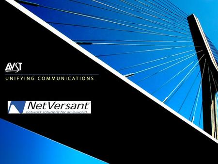 NetVersant Service Offering  Messaging Division  All employees with 15+ years in voicemail  Ex-Octel applications specialist, technicians, trainers,