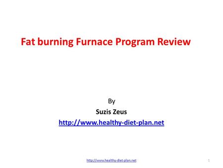 Fat burning Furnace Program Review By Suzis Zeus  1.