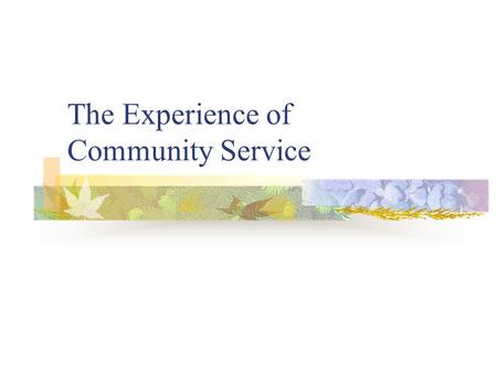 The Experience of Community Service. Experience of Community Service.
