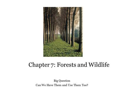 Chapter 7: Forests and Wildlife Big Question Can We Have Them and Use Them Too?