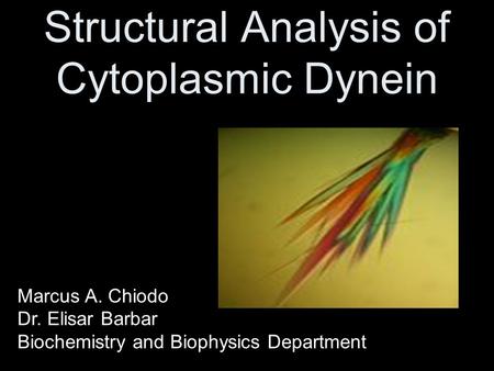 Structural Analysis of Cytoplasmic Dynein Marcus A. Chiodo Dr. Elisar Barbar Biochemistry and Biophysics Department.