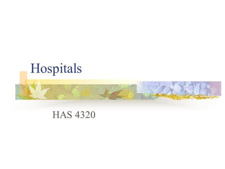Hospitals HAS 4320. Revenue Philanthropy and grants Global budgets Charges Per diem.