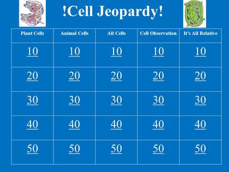 !Cell Jeopardy! Plant CellsAnimal CellsAll CellsCell ObservationIt’s All Relative 10 20 30 40 50.