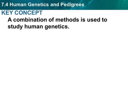KEY CONCEPT  A combination of methods is used to study human genetics.