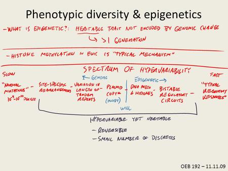 OEB 192 – 11.11.09 Phenotypic diversity & epigenetics.