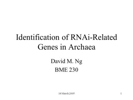 16 March 20051 Identification of RNAi-Related Genes in Archaea David M. Ng BME 230.
