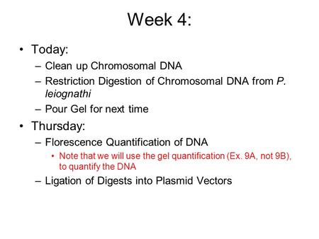 Week 4: Today: –Clean up Chromosomal DNA –Restriction Digestion of Chromosomal DNA from P. leiognathi –Pour Gel for next time Thursday: –Florescence Quantification.