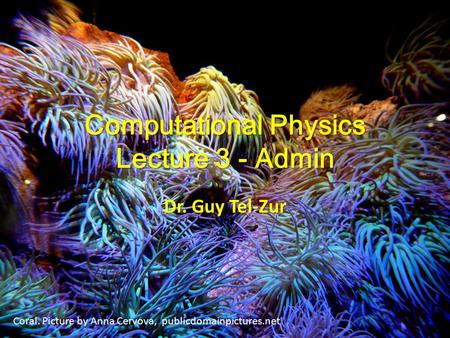 Computational Physics Lecture 3 - Admin Dr. Guy Tel-Zur Coral. Picture by Anna Cervova, publicdomainpictures.net.
