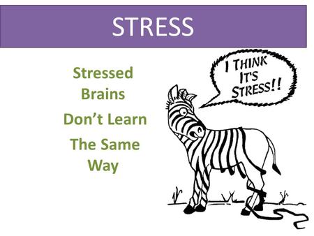 Stressed Brains Don’t Learn The Same Way STRESS. 30 seconds.