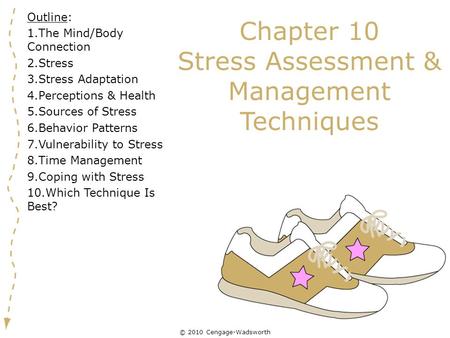 Chapter 10 Stress Assessment & Management Techniques