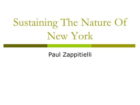Sustaining The Nature Of New York Paul Zappitielli.