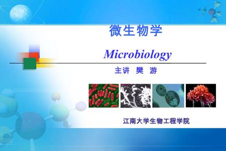 微生物学 Microbiology 主讲 樊 游 江南大学生物工程学院.