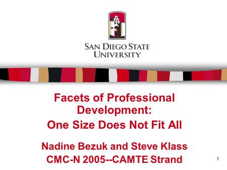 1 Facets of Professional Development: One Size Does Not Fit All Nadine Bezuk and Steve Klass CMC-N 2005--CAMTE Strand.