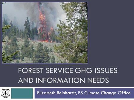 FOREST SERVICE GHG ISSUES AND INFORMATION NEEDS Elizabeth Reinhardt, FS Climate Change Office.