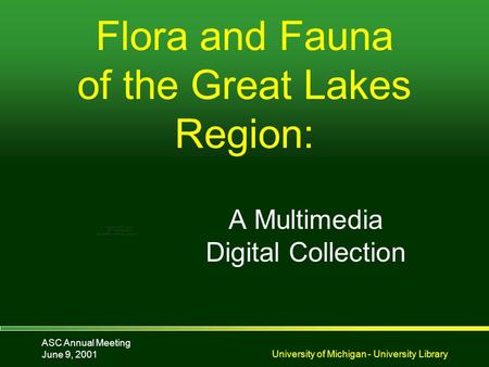 ASC Annual Meeting June 9, 2001University of Michigan - University Library Flora and Fauna of the Great Lakes Region: A Multimedia Digital Collection.
