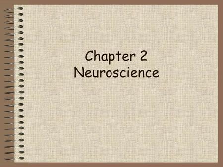 Chapter 2 Neuroscience.