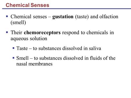 Chemical senses – gustation (taste) and olfaction (smell)