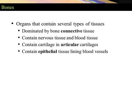 Bones Organs that contain several types of tissues Dominated by bone connective tissue Contain nervous tissue and blood tissue Contain cartilage in articular.