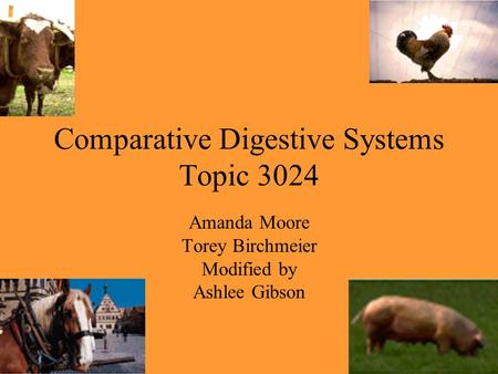 Comparative Digestive Systems Topic 3024 Amanda Moore Torey Birchmeier Modified by Ashlee Gibson.