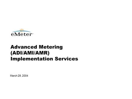 March 29, 2004 Advanced Metering (ADI/AMI/AMR) Implementation Services.