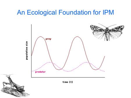 An Ecological Foundation for IPM. Island Biogeography.