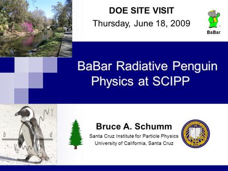 DOE SITE VISIT Thursday, June 18, 2009 Bruce A. Schumm Santa Cruz Institute for Particle Physics University of California, Santa Cruz BaBar.